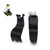 Brazilian Hair- Straight Hair extensions and Closure from Goddess Hair